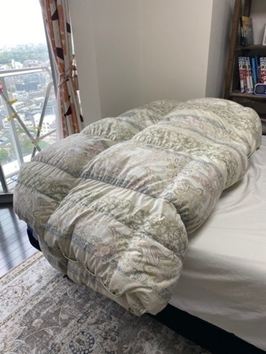 これだけで十分！ ホワイトダック 93％ 購入30798円