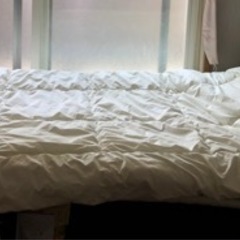 ニトリの寝具 掛布団、枕セット