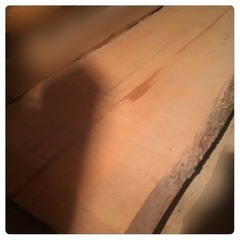 銀杏 盤木1枚 イチョウ ＊カウンター まな板 テーブル