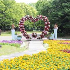 花🌸🌹🌺🌻🌼💐に癒され隊💗😍💭花好き集まれ❣️