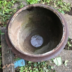 大きな水鉢