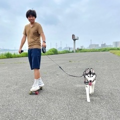 犬の散歩、お世話、お預かり、遊び　大型犬歓迎  - 葛飾区