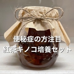 ② 紅茶キノコ　培養セット