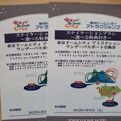 東京ドームシティ　アトラクションズ　ワンデーパスポートの引換券　2枚