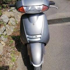 ホンダリード100