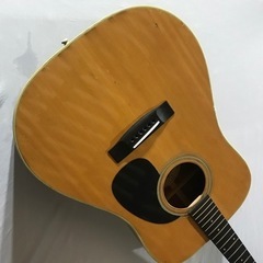 Morris アコースティックギター W-20