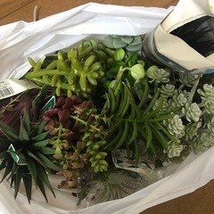 【終了】ハンドメイド多肉植物色々