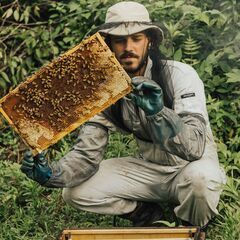 🌸🐝養蜂、体験（手伝って）みませんか？🍯🌻 − 徳島県
