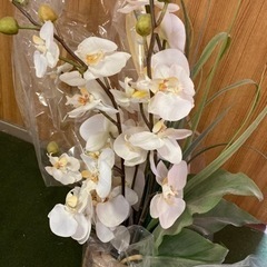 【お値下げしました！引取り限定・発送不可】胡蝶蘭の造花になります。