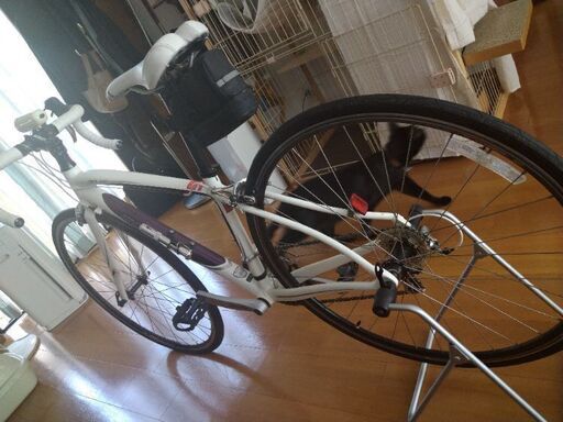 美品】ロードバイク SPECIALIZED DOLCE sport | www.debbiejorde.com