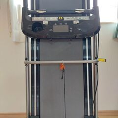 🐶決まりました🐶ALINCOルームランナー