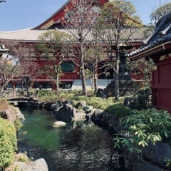 神社.仏閣.お城.石庭園趣味友作り✨の画像