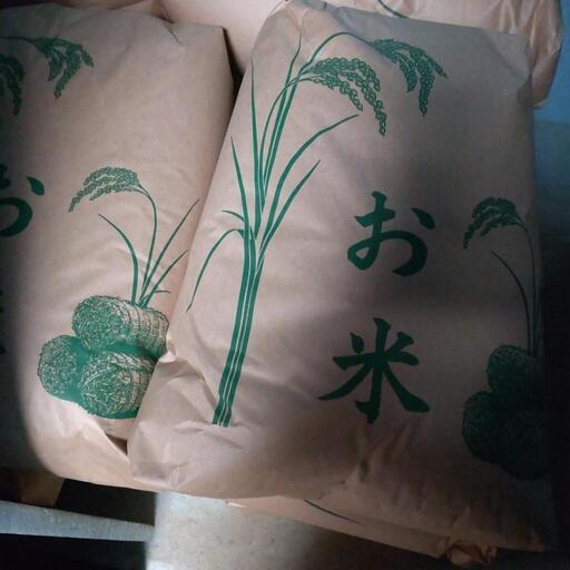 お米売ります。