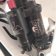 キャノンデール cannondale jekyll 27.5 2015今月限定価額