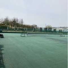 5月3日　テニスやります。