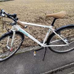 ブリヂストン　オルディナ  S8cb   Ordina　ベルトドライブ  専用ドロヨケ付

