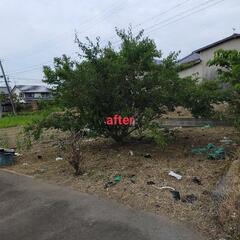 草刈と簡易剪定 − 滋賀県