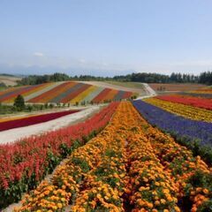 旭川・旭川近郊で海が好きな人！