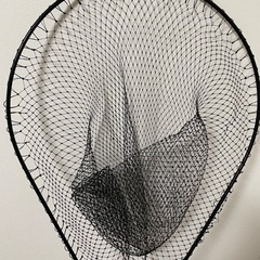 ランディングネット