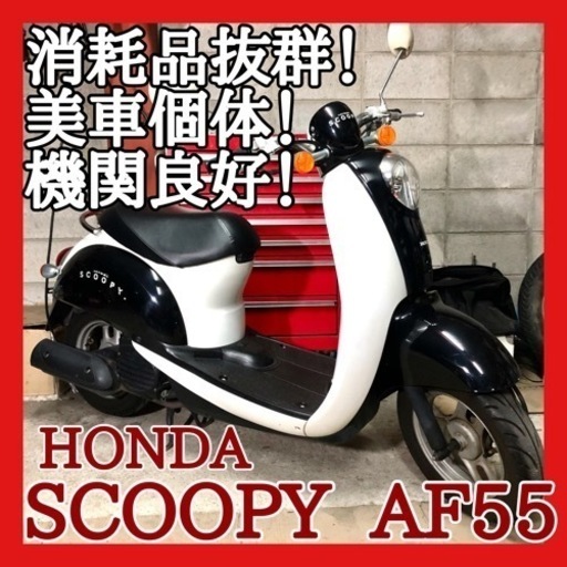 ☆安心の点検整備.動画☆ホンダ スクーピー AF55☆消耗品抜群のお買い得仕上げ！可愛く綺麗で好調な良質車両です♪