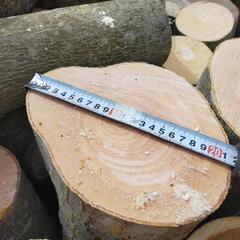 申込み期限4/30 薪 軽トラ1台分 玉切り 広葉樹のみ