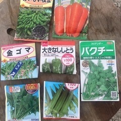 野菜の種　いろいろ　
