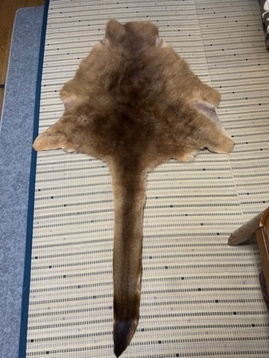 【美品】カンガルーの毛皮