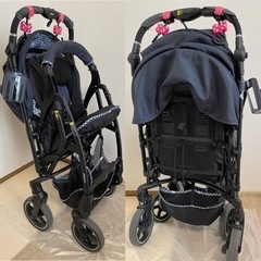 東京都のランフィリノンの中古が安い!激安で譲ります・無料であげます