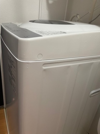 2019年製　洗濯機　TOSHIBA  5kg    美品