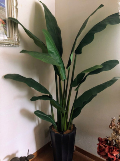フェイク　観葉植物