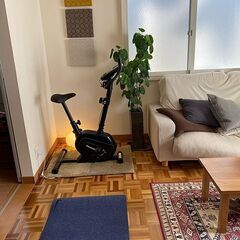 【未使用】2022年4月購入・エアロバイク・ALINCO・アルインコ・5年保証