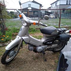 HONDA　カブ　C50　リトルカブ　カブラ　可動車