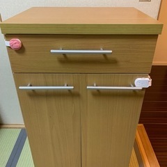 ニトリ　分別ペール　カウンター　ゴミ箱