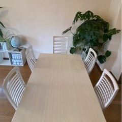 【ネット決済】ディノス購入　伸長式ダイニングテーブル&椅子×5