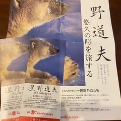 ⭐︎差し上げます⭐︎星野道夫　写真展　4/25まで開催