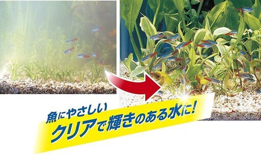 Gex アオコ除去剤 Newピュアw 300cc 在庫１３本 おまけで水草３種類と赤貝を差し上げます 囲碁男 枚方公園のその他の中古あげます 譲ります ジモティーで不用品の処分