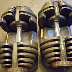 【手渡し限定】４WD可変式ダンベル 40kg可変式 4kg - 38kg 2個セット 17段階調節 5秒で重量調整 