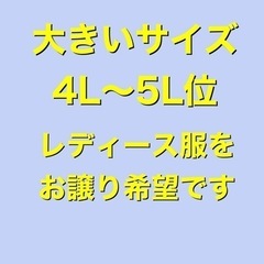 レディース服 大きいサイズ 4L～5L くださる方お願い致します...