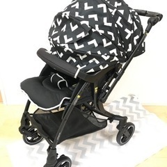ピジョンランフィの中古が安い!激安で譲ります・無料であげます