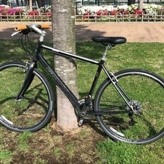 ジャイアント　エスケープR3 Mサイズ　整備済　新品部品多数　ESCAPE 