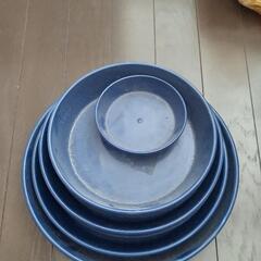 100きん鉢皿