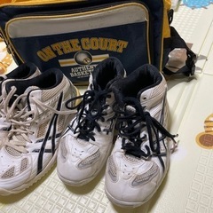 バッシュケースの中古が安い 激安で譲ります 無料であげます ジモティー