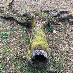 山登り案内します