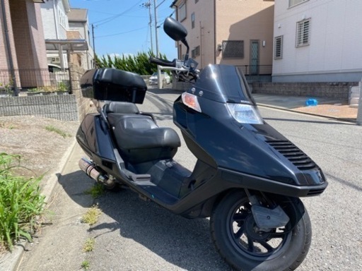 値下げ!最終型mf02 ホンダ フュージョン 程度良好 | cci-mezghena.dz