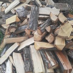 薪(未乾燥) 広葉樹のミックス 軽トラ平積み