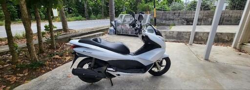 ホンダ pcx125cc