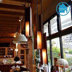 美品!! 撮影機材一式 amaran100dライト スタンド ランタンソフトボックス