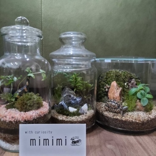 葛飾区立石苔テラリウムワークショップ まつのまっつ 京成立石のワークショップのイベント参加者募集 無料掲載の掲示板 ジモティー 葛飾区立石苔テラリウムワークショップ まつのまっつ 京成立石のワークショップのイベント参加者募集 無料掲載の掲示板 ジモティー