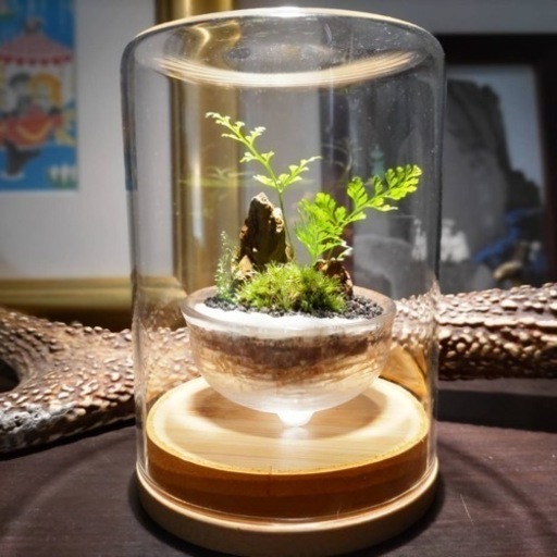 葛飾区立石苔テラリウムワークショップ まつのまっつ 京成立石のワークショップのイベント参加者募集 無料掲載の掲示板 ジモティー 葛飾区立石苔テラリウムワークショップ まつのまっつ 京成立石のワークショップのイベント参加者募集 無料掲載の掲示板 ジモティー