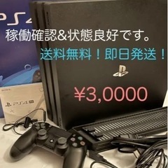 【ネット決済・配送可】PlayStation®4 Pro ジェッ...